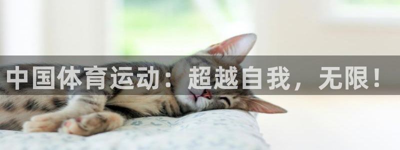 MK体育官网下载软件：中国体育运动：超越自我，无限！