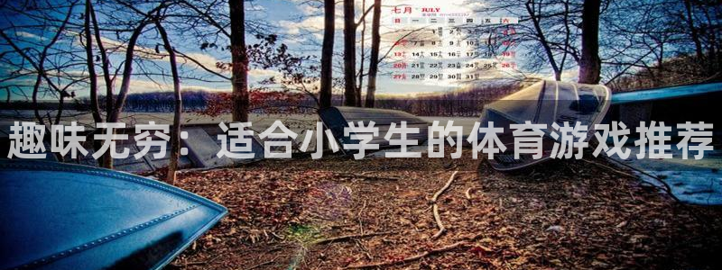 MK体育官网下载招商电话号码：趣味无穷：适合小学生的