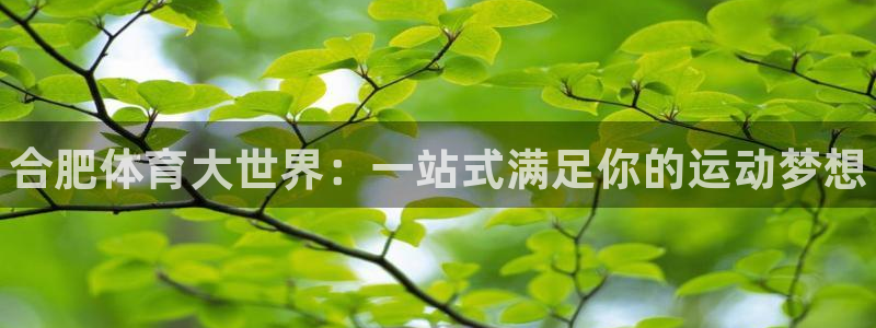 MK体育官方正版app集团E.ON：合肥体育大世界：