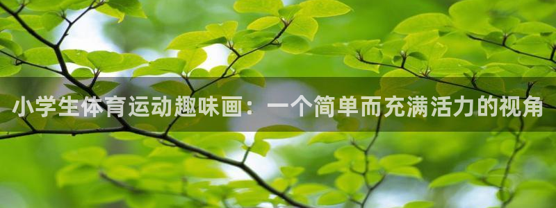 MK体育官方正版app集团官网首页：小学生体育运动趣