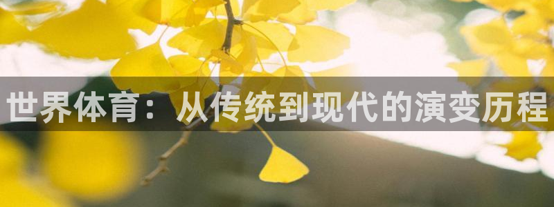 MK体育官网下载招商电话地址查询：世界体育：从传统到