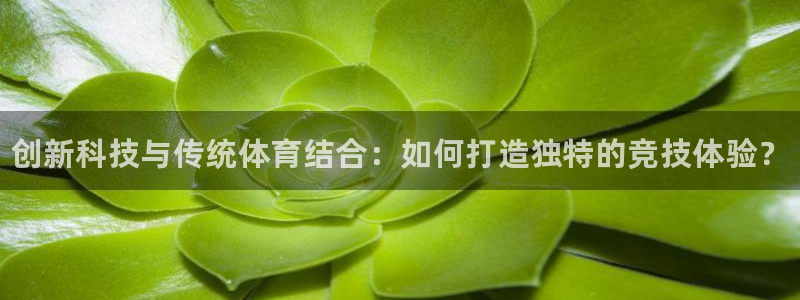 MK体育官方正版app娱乐是那个系列的台子：创新科技