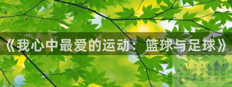 MK体育官网下载招商：《我心中最爱的运动：篮球与足球