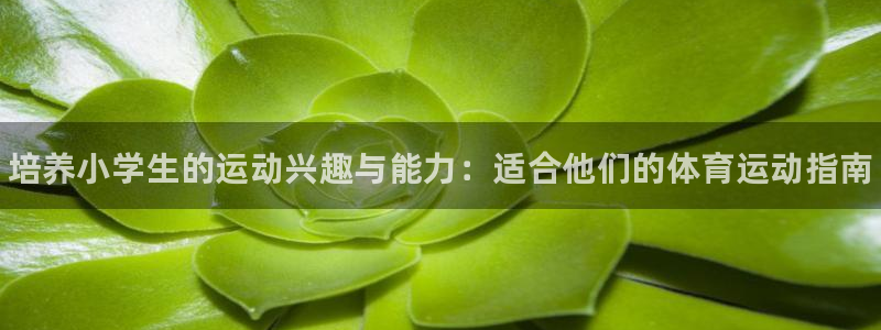 MK体育官方正版app集团官网首页网址：培养小学生的