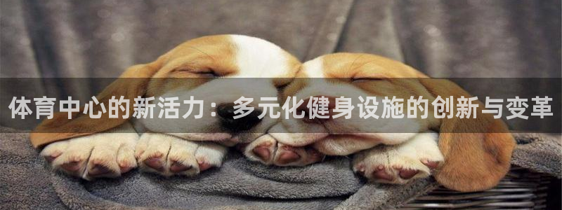 MK体育官网下载平台是正规平台吗：体育中心的新活力：多元化健