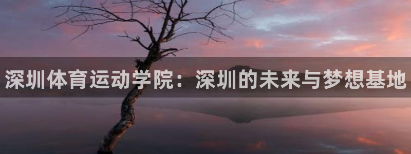 MK体育官方正版app娱乐网站：深圳体育运动学院：深圳的未来