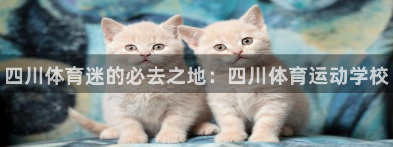 MK体育官网下载娱乐