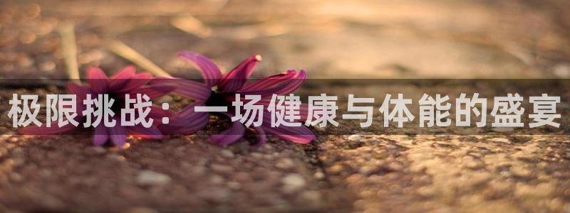 MK体育官方正版app神州：极限挑战：一场健康与体能的盛宴