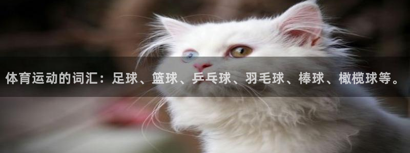 MK体育官网下载注册：体育运动的词汇：足球、篮球、乒乓球、羽