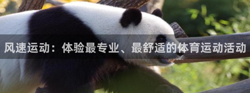 MK体育官方正版app娱乐首页官网下载