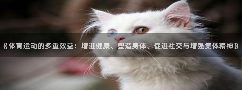 MK体育官网下载招商电话是多少：《体育运动的多重效益：增进健