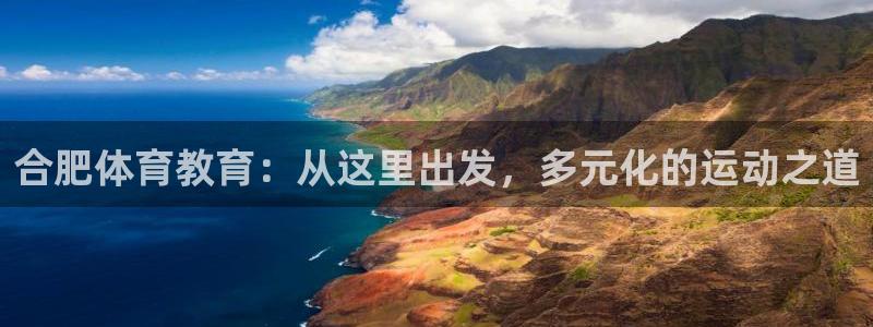 德国MK体育官方正版app集团：合肥体育教育：从这里出发，多