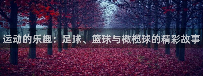 海南MK体育官网下载：运动的乐趣：足球、篮球与橄榄球的精彩故