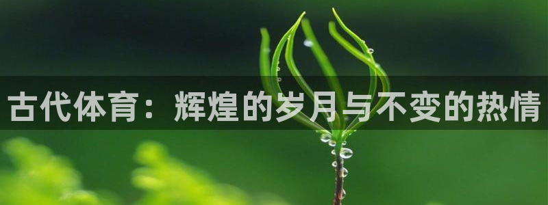 MK体育官网下载软件