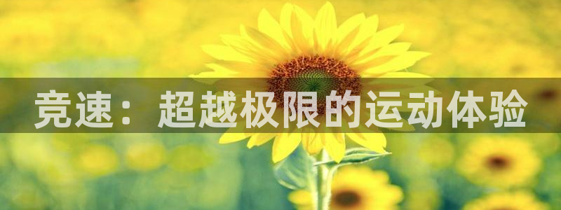 MK体育官网下载平台假的吗是真的吗吗