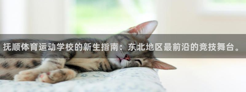MK体育官方正版app官方：抚顺体育运动学校的新生指南：东北