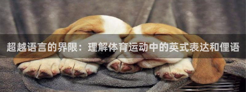 MK体育官网下载联系电话：超越语言的界限：理解体育运动中的英