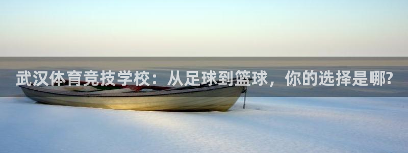 MK体育官网下载：武汉体育竞技学校：从足球到篮球，你
